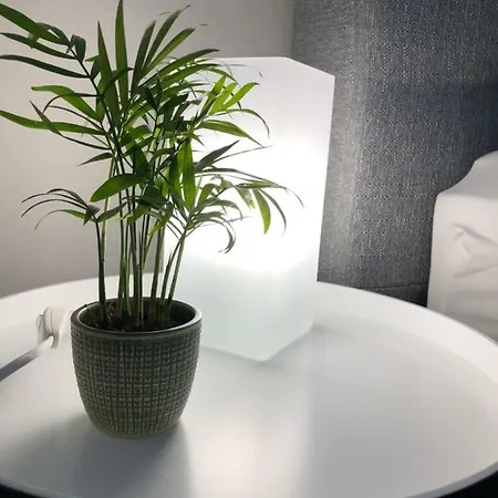 Haus Neue Heimat アパート シュルンス